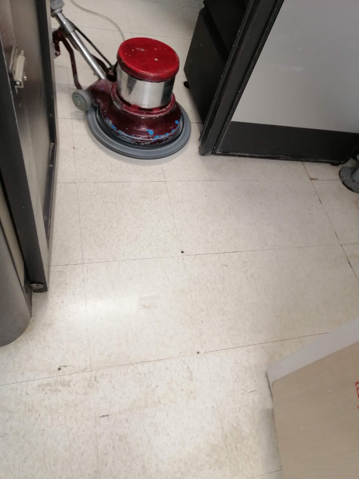 Lavado tapete decorativo